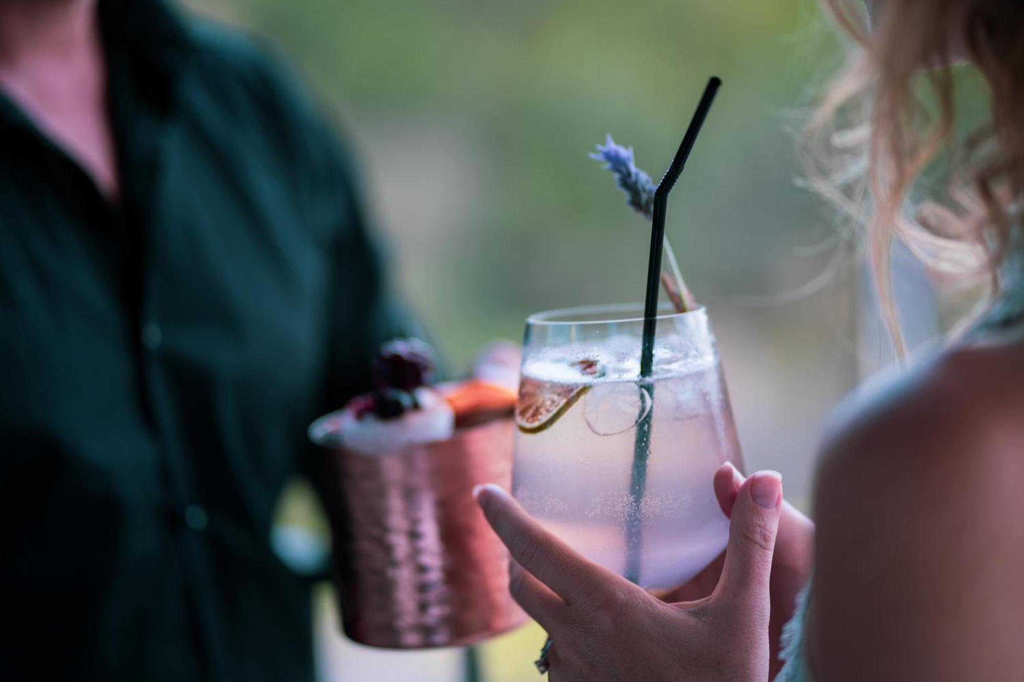 Monchique Resort & Spa Luaran gambar A lavender cocktail